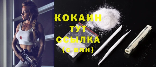 ешки Бородино