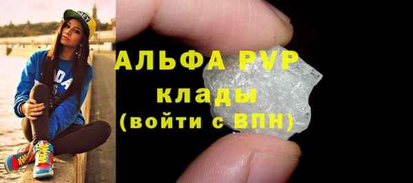 ешки Бородино