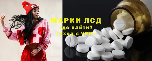 ешки Бородино