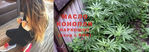 ешки Бородино