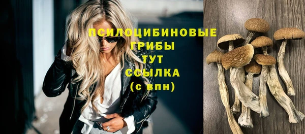 ешки Бородино