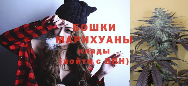 ешки Бородино