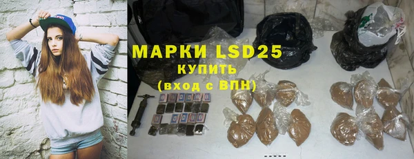 ешки Бородино