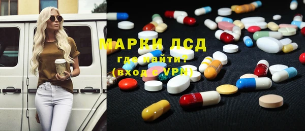 ешки Бородино