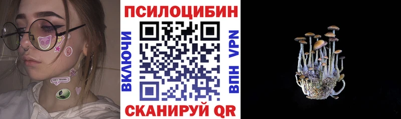 Псилоцибиновые грибы MAGIC MUSHROOMS  где продают наркотики  Гусь-Хрустальный 